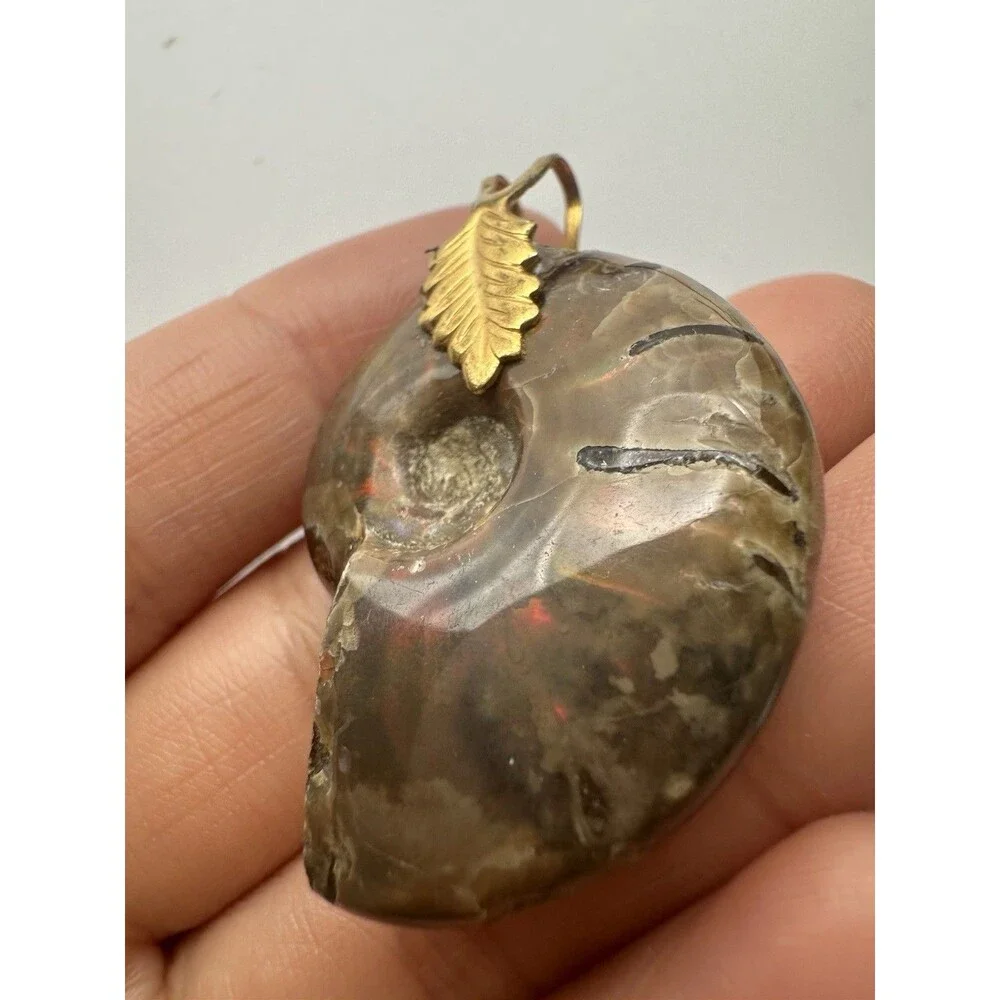Iridescent Ammonite Fossil Pendant